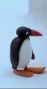 pingu